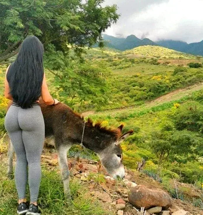 Erotische Kontakte Grünberg
